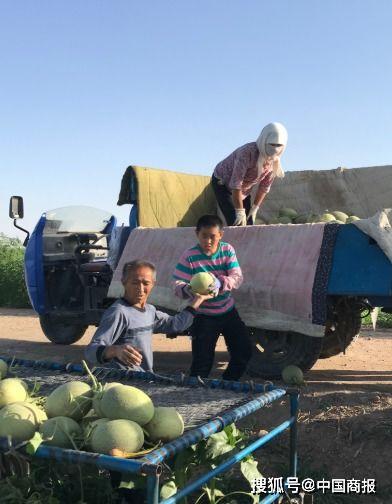 民勤吃瓜比赛视频,一场视觉与味觉的双重盛宴