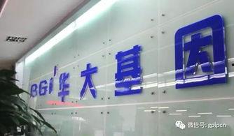 华大基因吃瓜,揭秘基因产业的“吃瓜”风云