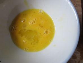 瓜蛋吃,探寻美食与生活的完美融合